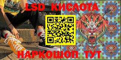 ГАЛЛЮЦИНОГЕННЫЕ ГРИБЫ Тара