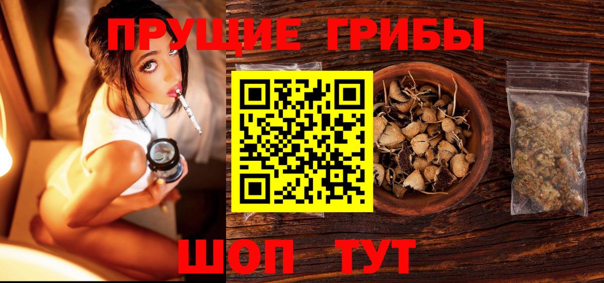 Псилоцибиновые грибы Cubensis Мурино